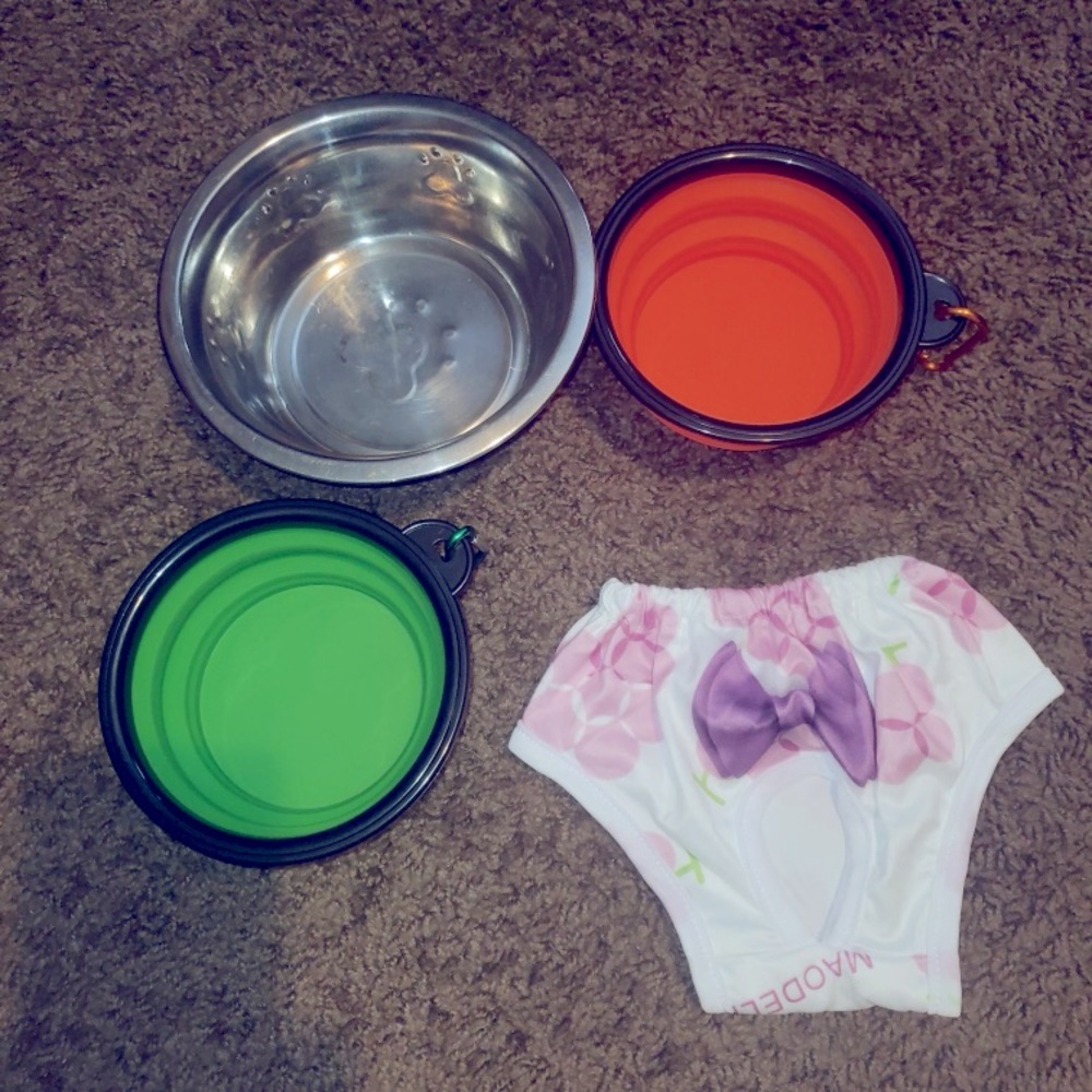 Dog Floral Print Underwear with Bow and Accessories
